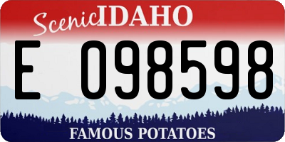 ID license plate E098598