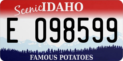 ID license plate E098599