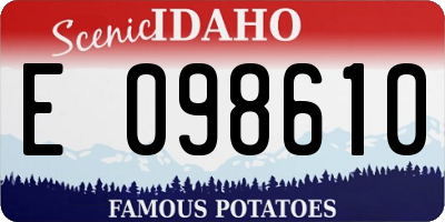 ID license plate E098610