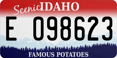 ID license plate E098623