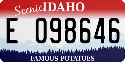 ID license plate E098646
