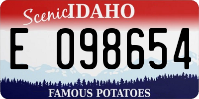 ID license plate E098654