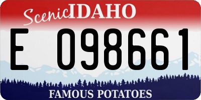 ID license plate E098661