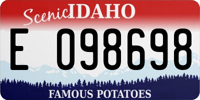 ID license plate E098698