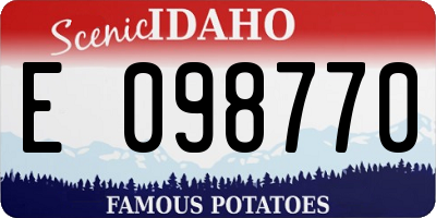 ID license plate E098770