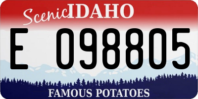 ID license plate E098805