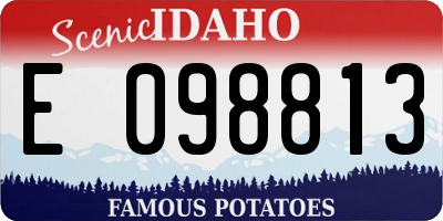 ID license plate E098813