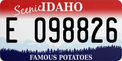 ID license plate E098826
