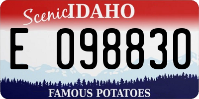 ID license plate E098830