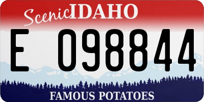 ID license plate E098844