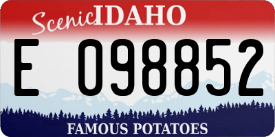 ID license plate E098852