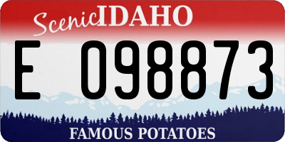 ID license plate E098873