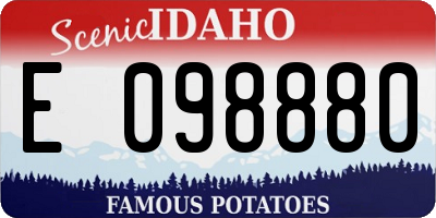 ID license plate E098880