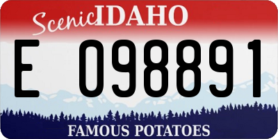 ID license plate E098891