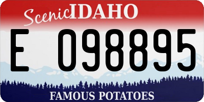 ID license plate E098895