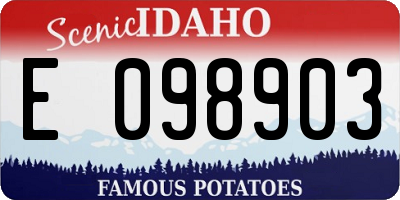ID license plate E098903