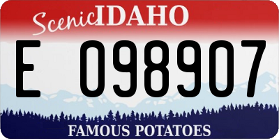ID license plate E098907
