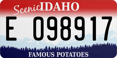 ID license plate E098917