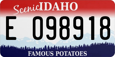 ID license plate E098918