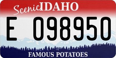 ID license plate E098950