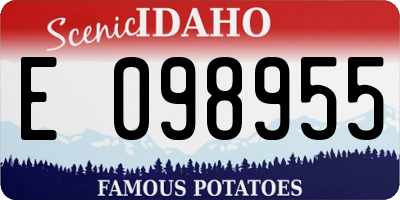 ID license plate E098955