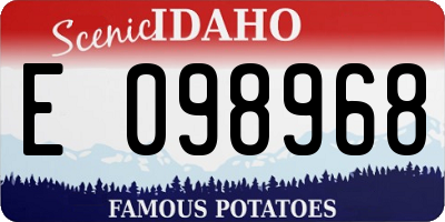 ID license plate E098968