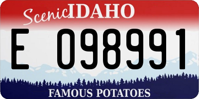 ID license plate E098991