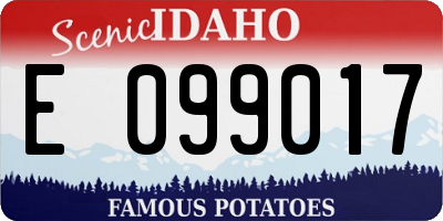 ID license plate E099017