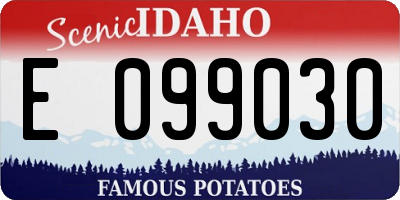 ID license plate E099030