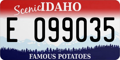 ID license plate E099035