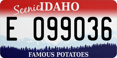 ID license plate E099036