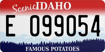 ID license plate E099054