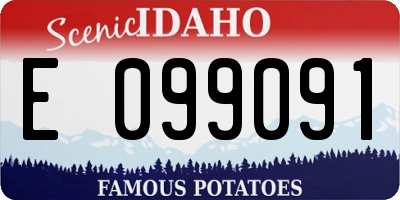 ID license plate E099091