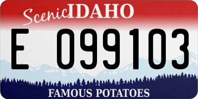 ID license plate E099103