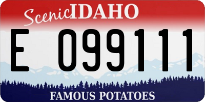 ID license plate E099111