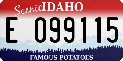 ID license plate E099115