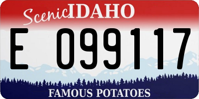 ID license plate E099117