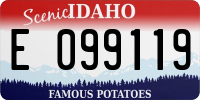 ID license plate E099119