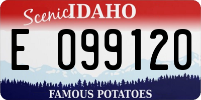 ID license plate E099120