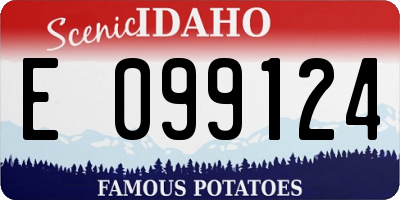 ID license plate E099124