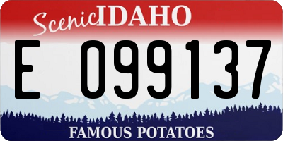 ID license plate E099137