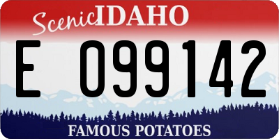 ID license plate E099142