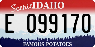 ID license plate E099170
