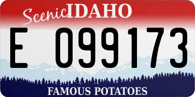 ID license plate E099173