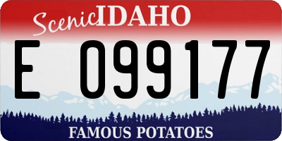 ID license plate E099177