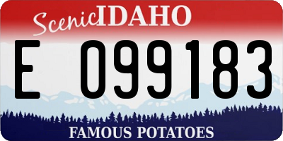 ID license plate E099183