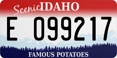 ID license plate E099217