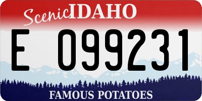 ID license plate E099231
