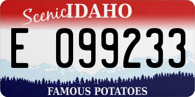 ID license plate E099233