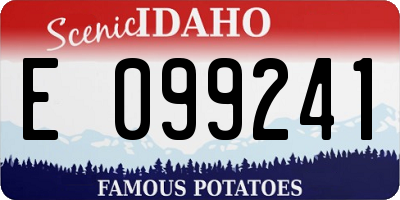 ID license plate E099241